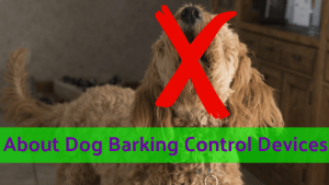About_Dog_Barking_Control_Devices