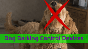 Dog_Barking_Control_Devices_that_work