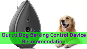 Top Dog Barking Control Device Recommendation