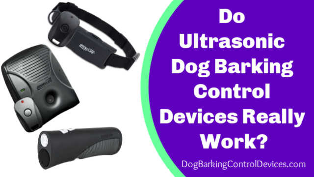 Do Ultrasonic Dog Barking Control Devices Really Work? [The Truth May Shock You]