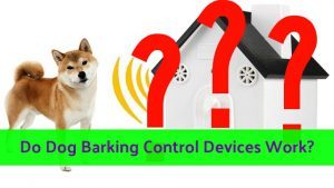 ultrasonic_dog_barking_control_devices_do_they_work