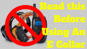 dog_barking_control_devices_read_this_before_using_e_collar_training
