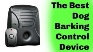 dog_barking_control_devices_Best Ultrasonic Dog Barking Device