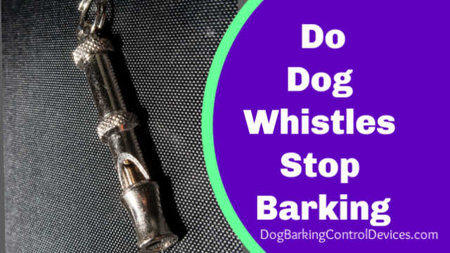 Do Dog Whistles Work To Stop Barking?